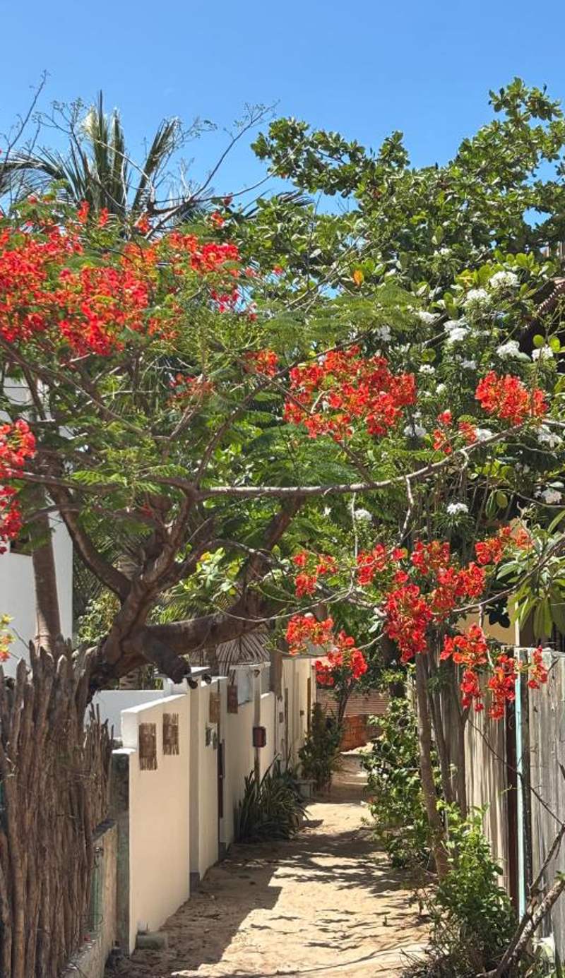 Barriga Da Lua Flats