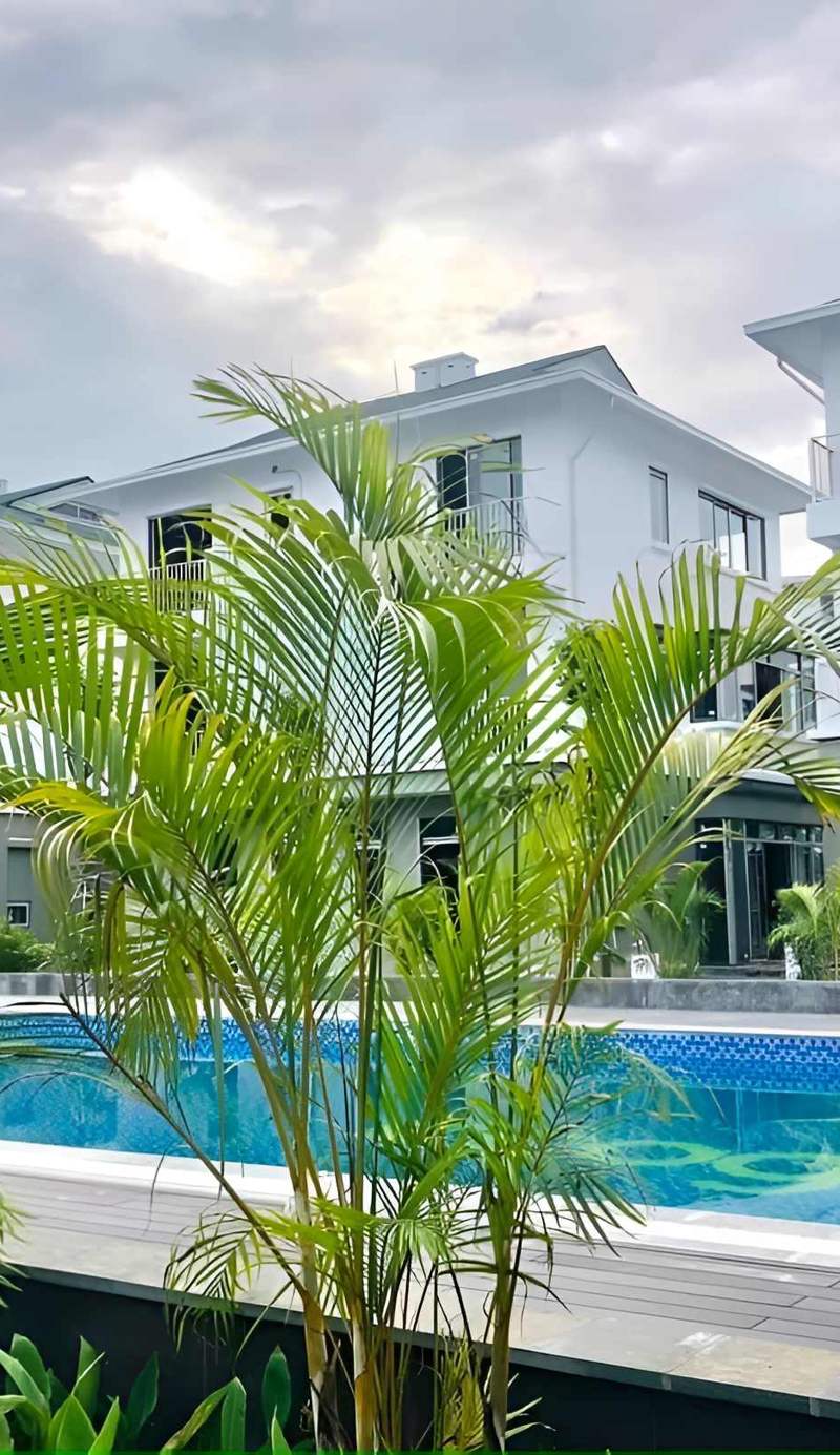 Ti Tach Home in Eco Garden Hue
