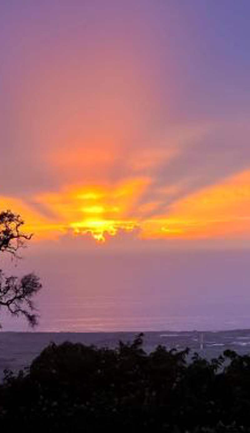 Mango Sunset Bed and Breakfast