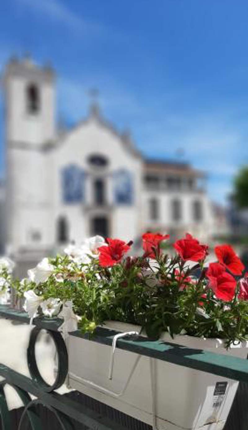Feel Aveiro - Church View