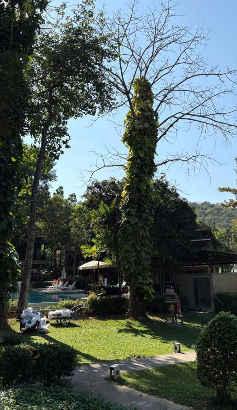 Samed Hideaway Resort