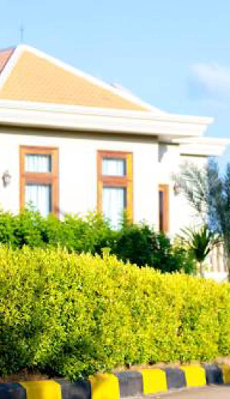 KNN Luxury Hill