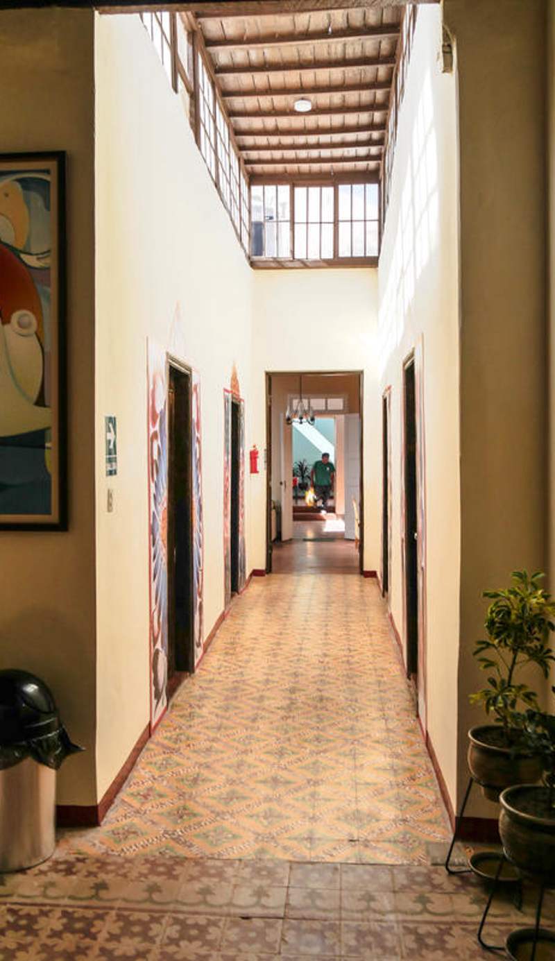 Wild Olive Guesthouse