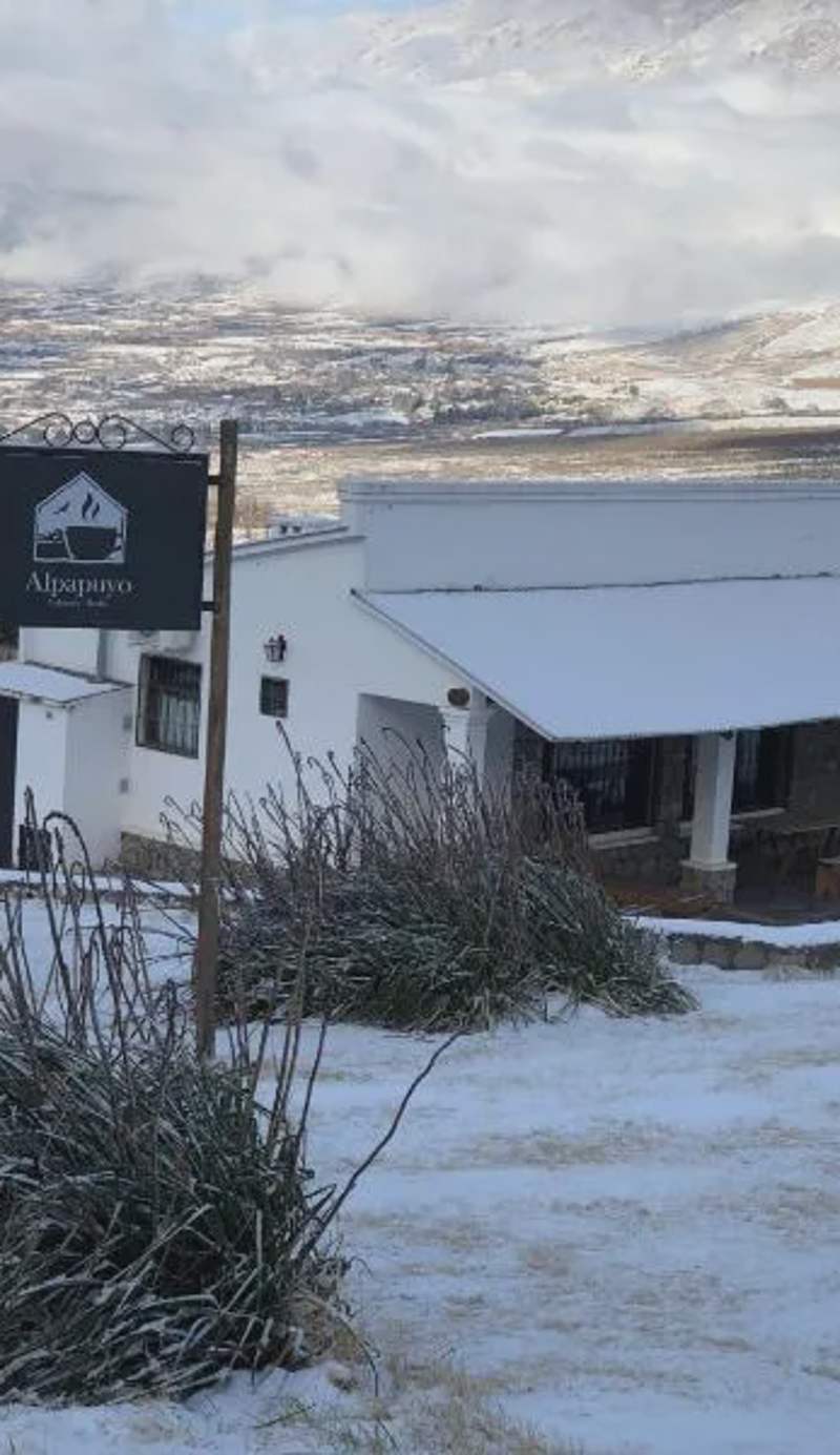Puro Campo
