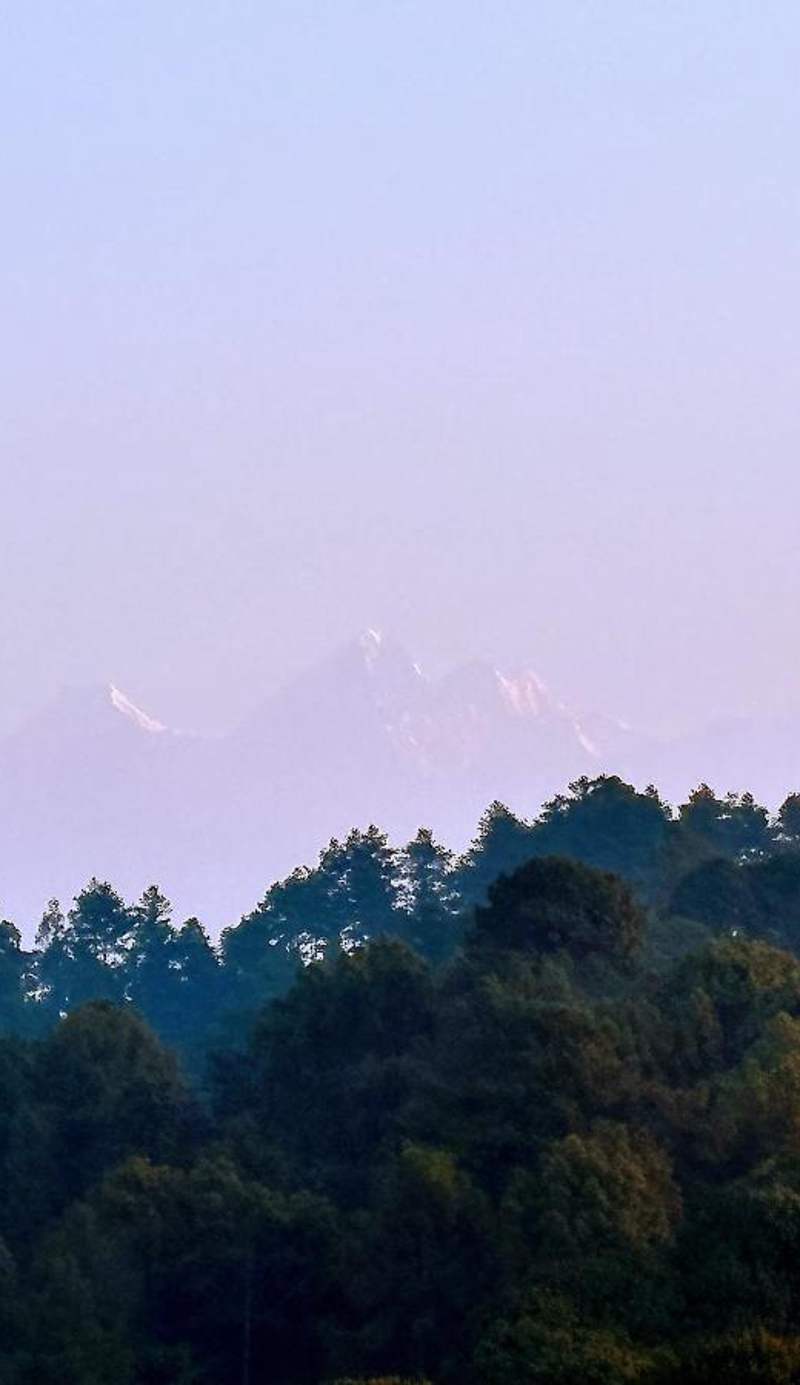 Hotel Himalayan Glacier
