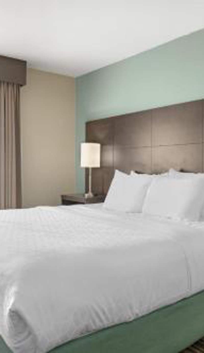 Best Western Plus Dartmouth Hotel & Suites