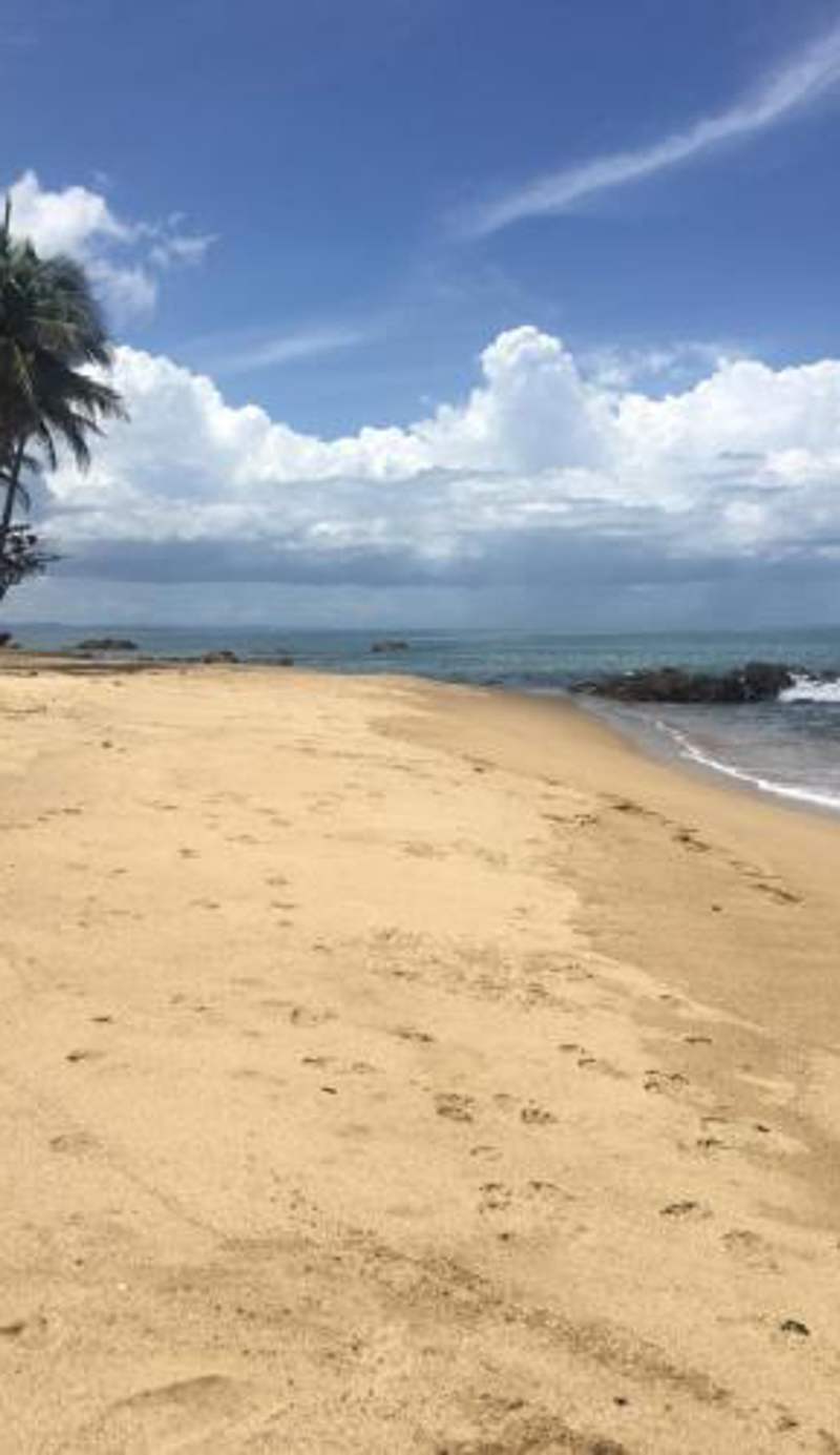 Brisas Del Mar 1/1 Front Beach Apartment