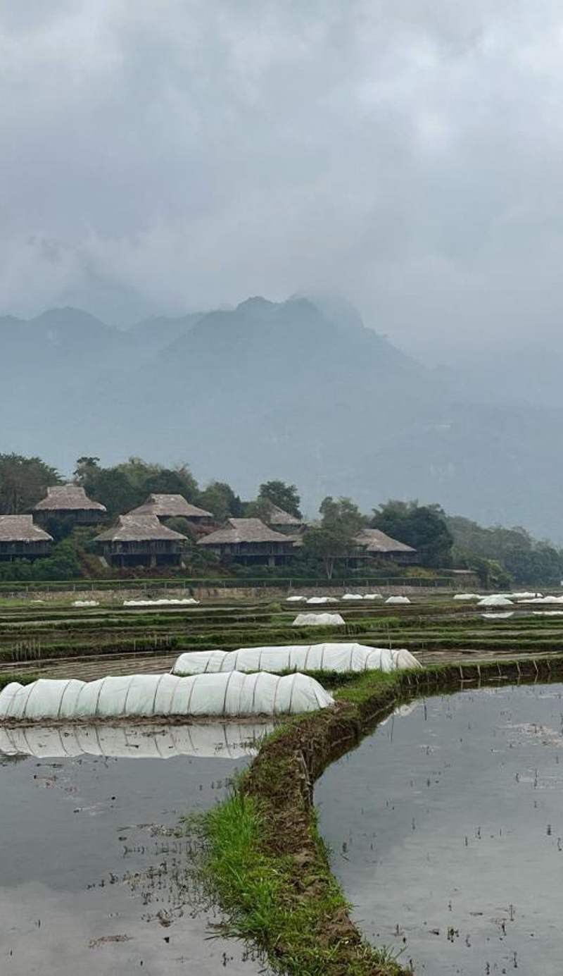 Green Homestay Mai Chau