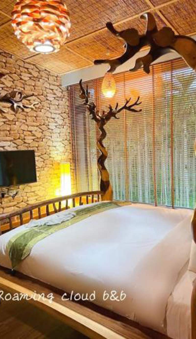 Roaming Cloud Sun Moon Lake B&B