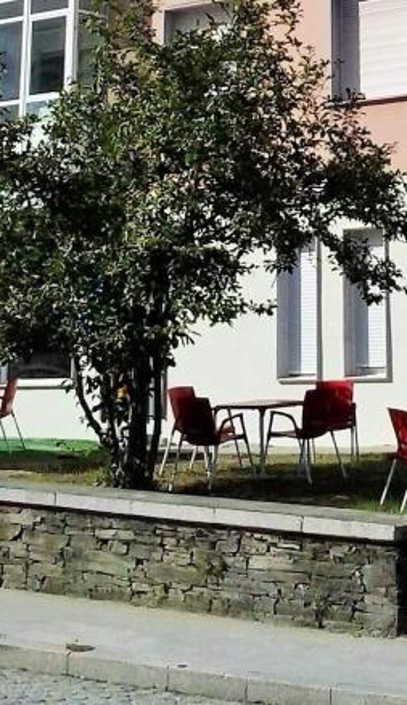 Pensión-Albergue Puente Ribeira