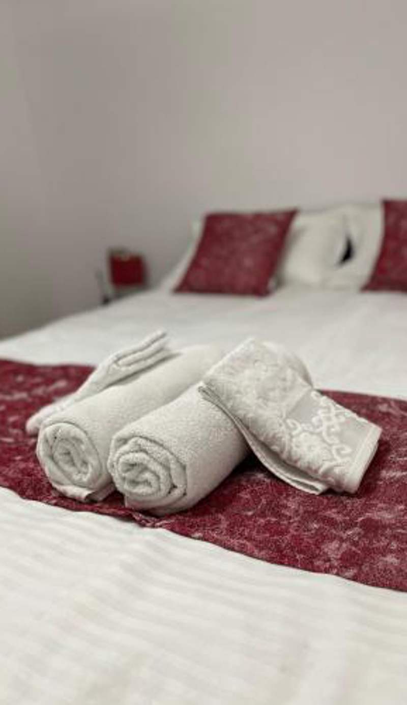 BUTTERFLY FAMILY APARTMENT SIBIU