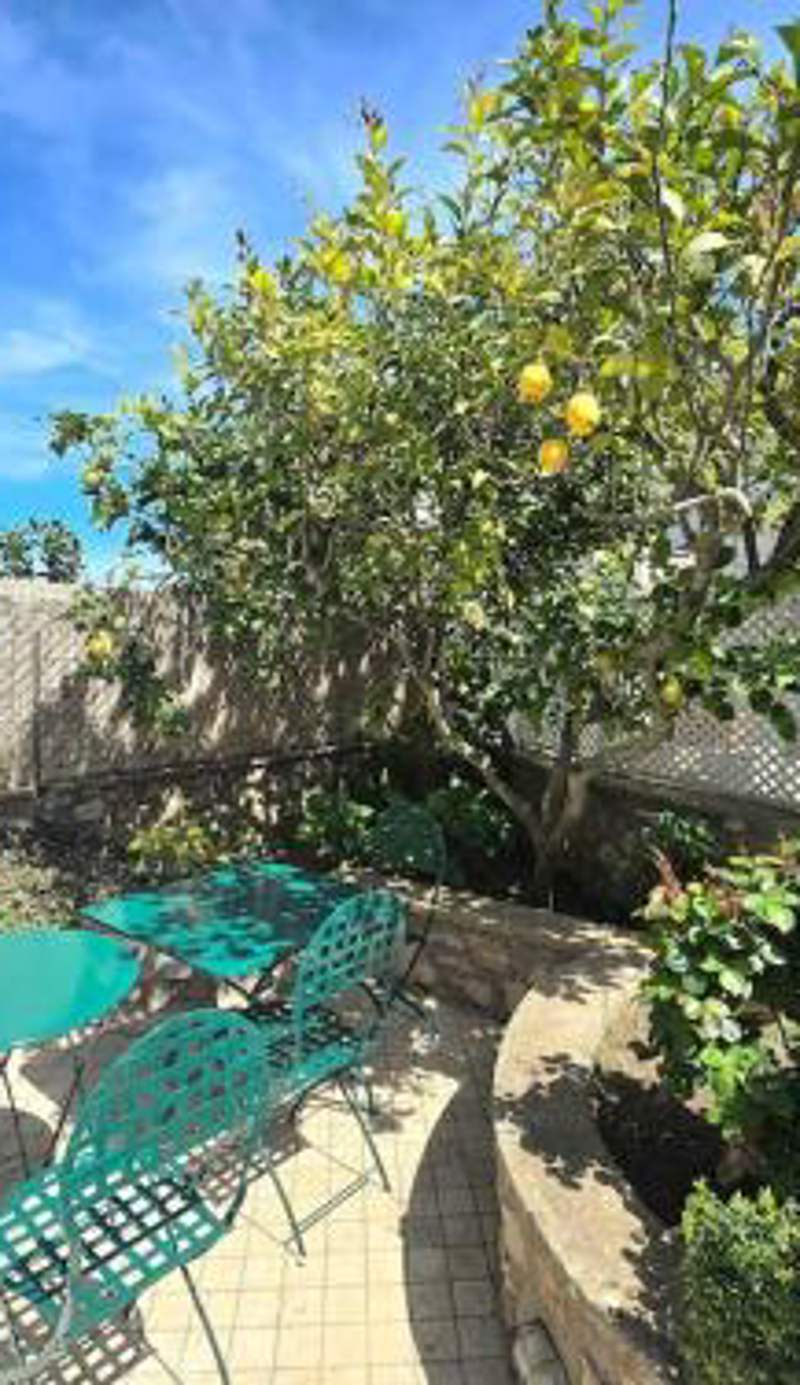 Lemon House