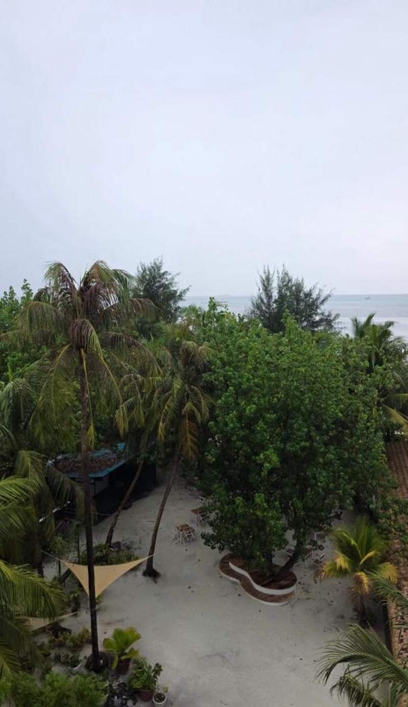 Season Paradise
