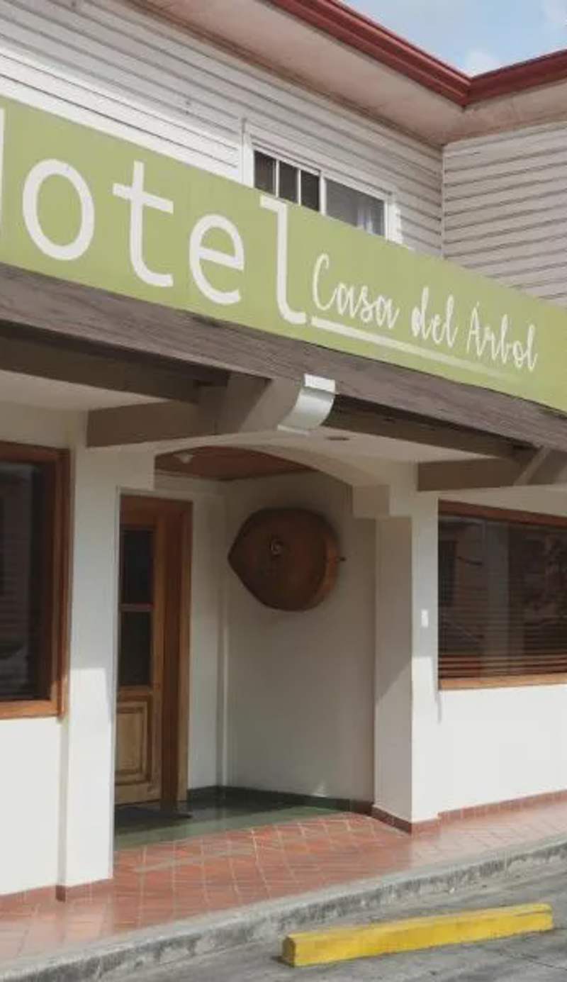 Hotel Casa del Arbol