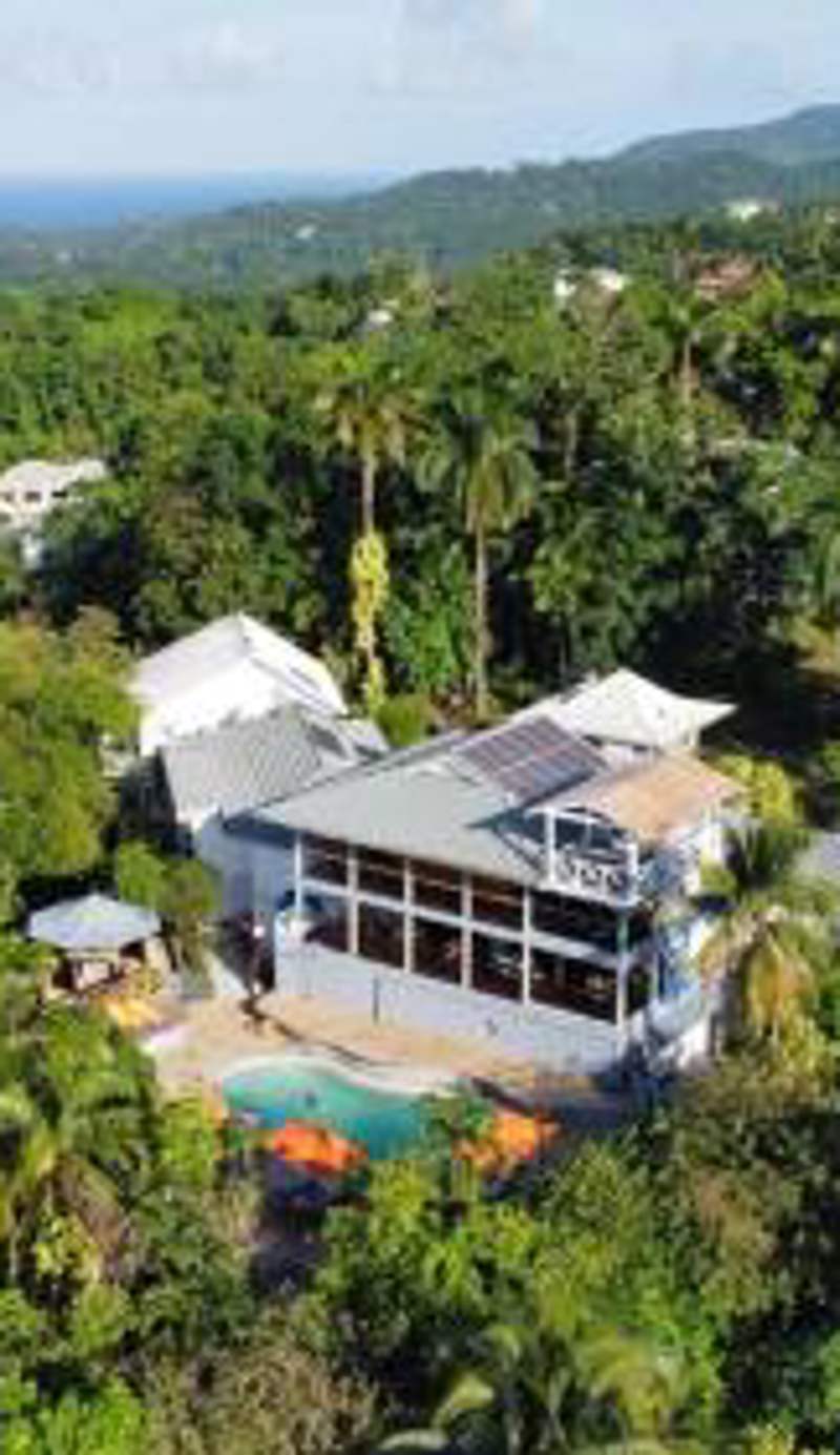 LF Jungle Retreat