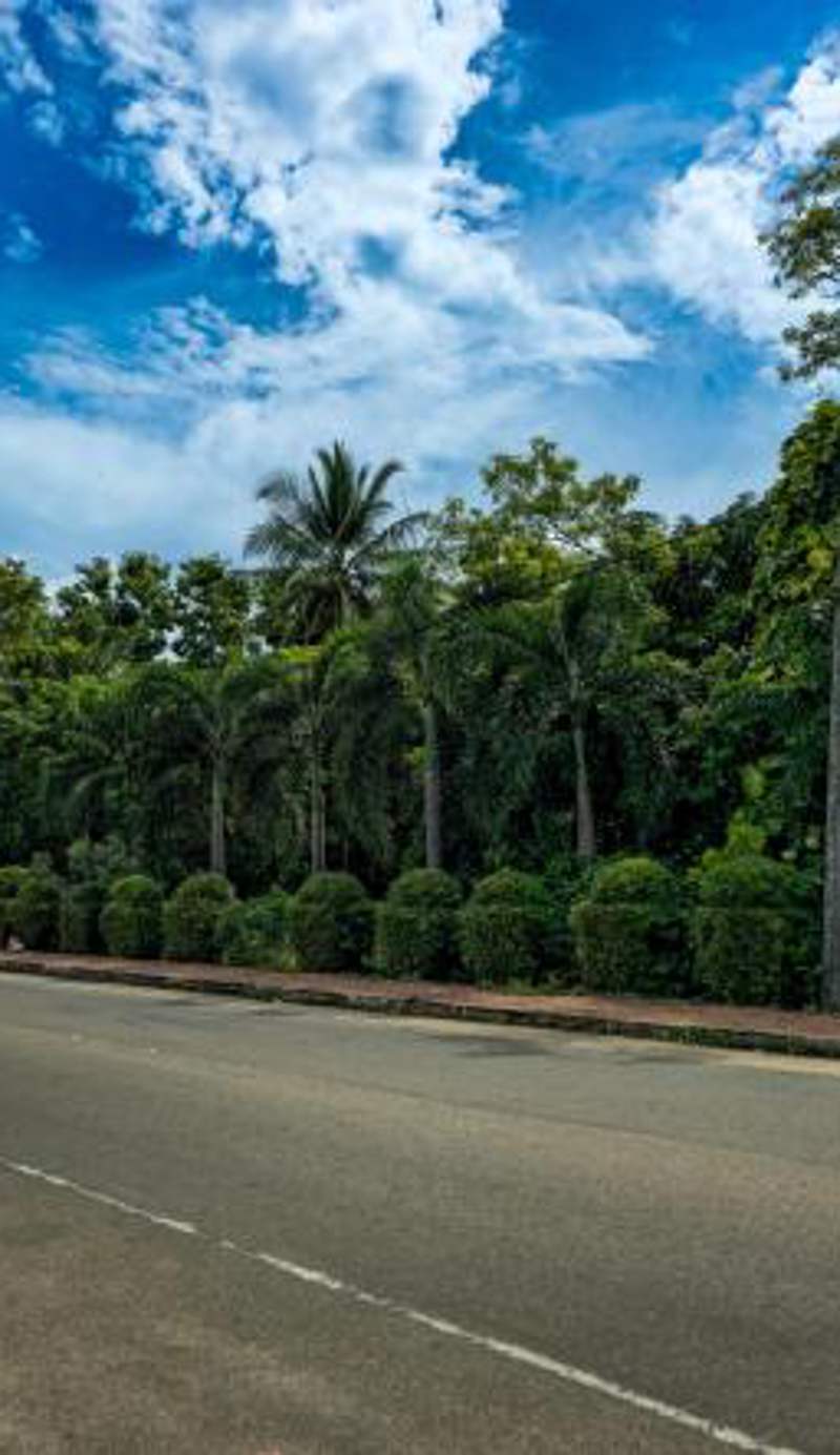Jayaru Guest House