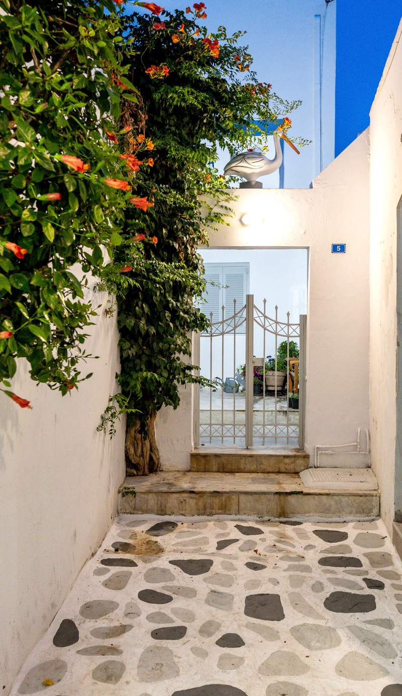 Pelican Paros