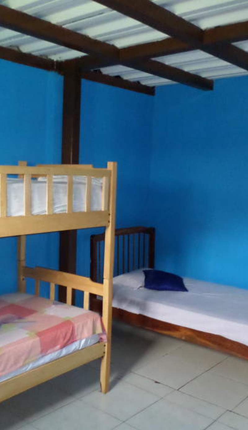 Thefunkymonkeyhostel