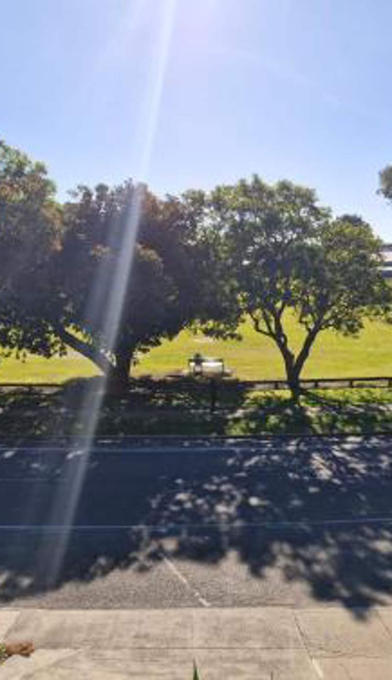 Ahuriri On The Park