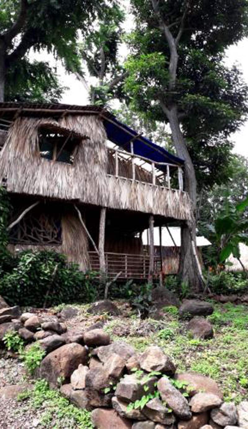 El Bamboo Cabins