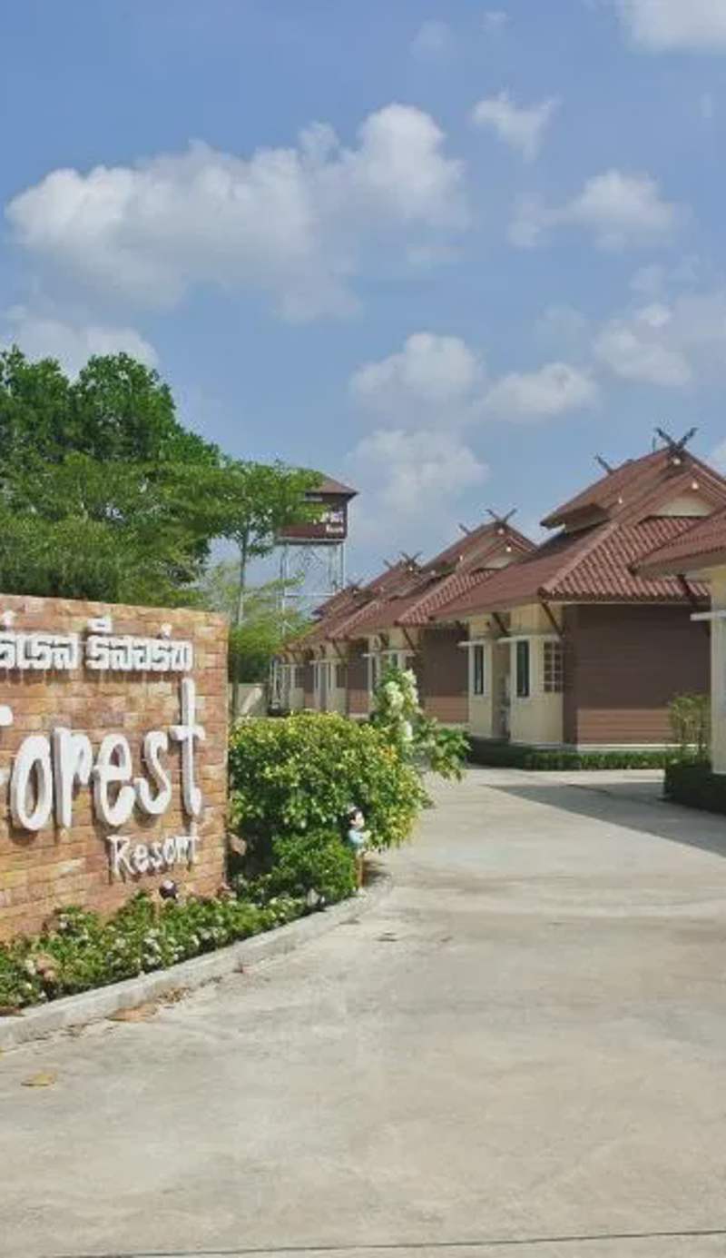 Boom Forest Hotel