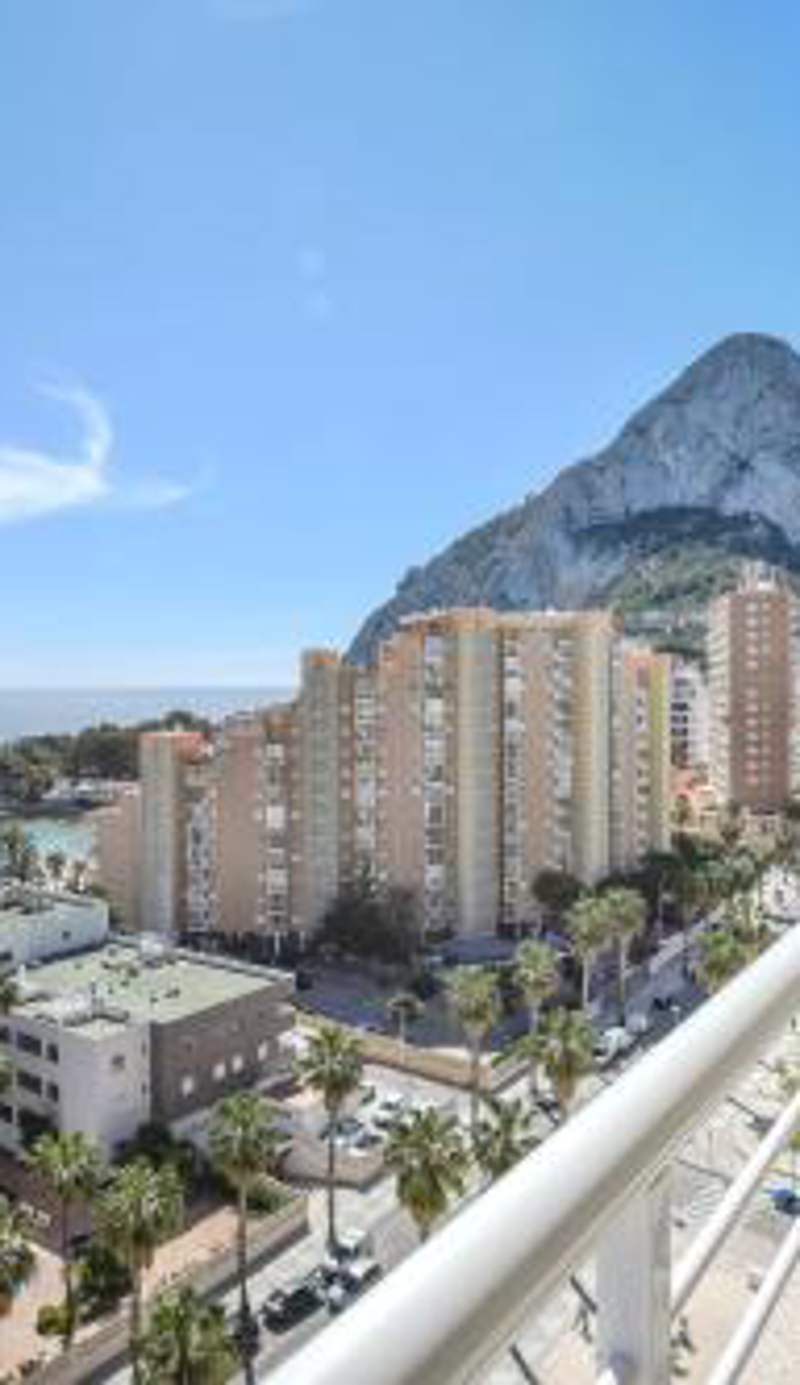 Homeincalpe Apolo XVI 2-11-52