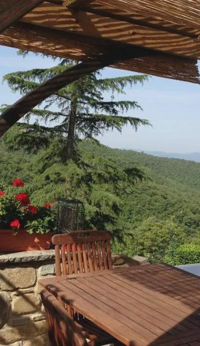 Agriturismo Borgo Nuovo Di Mulinelli