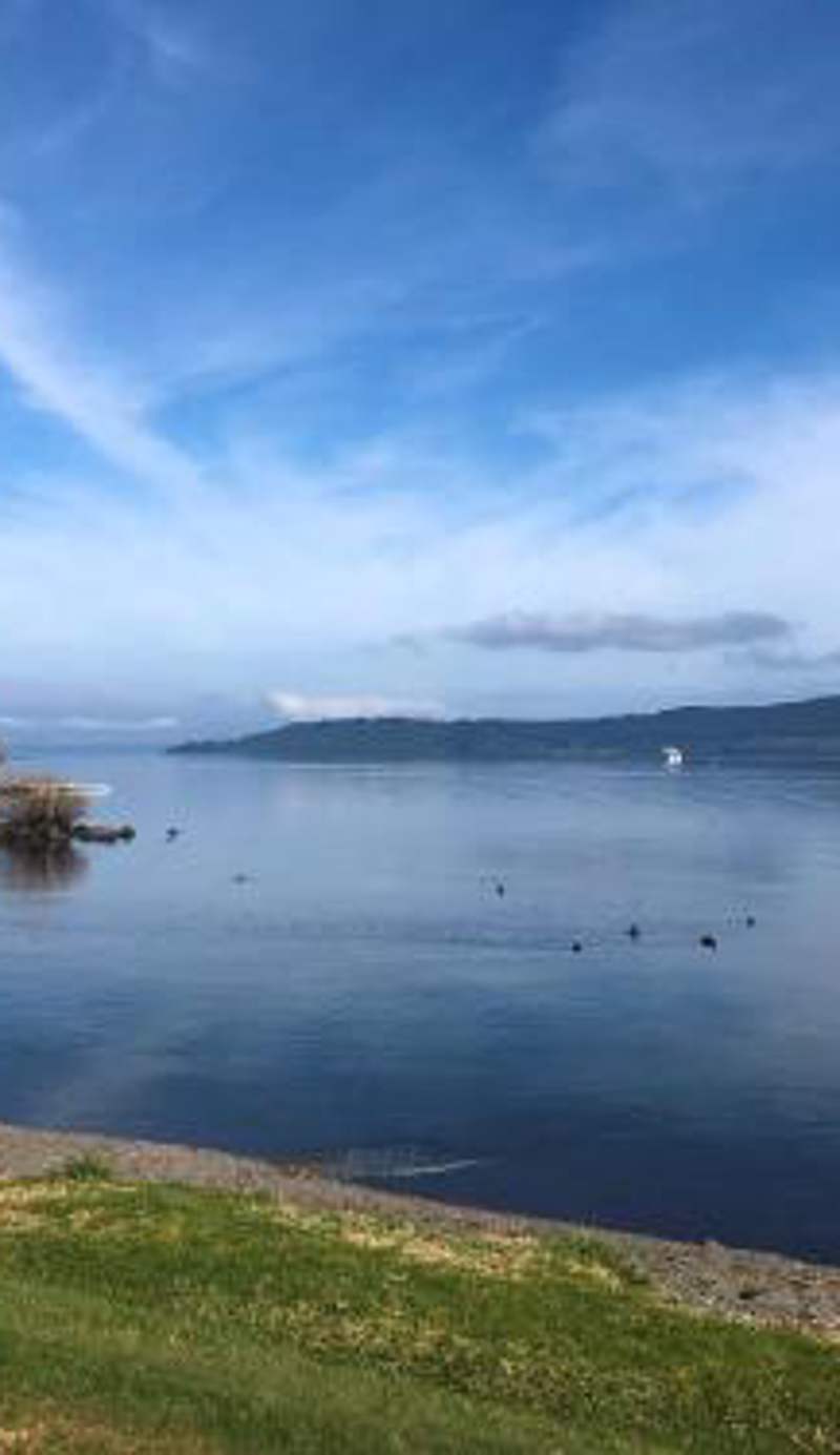 Affordable One Bedroom Apartment Lake Taupo C4