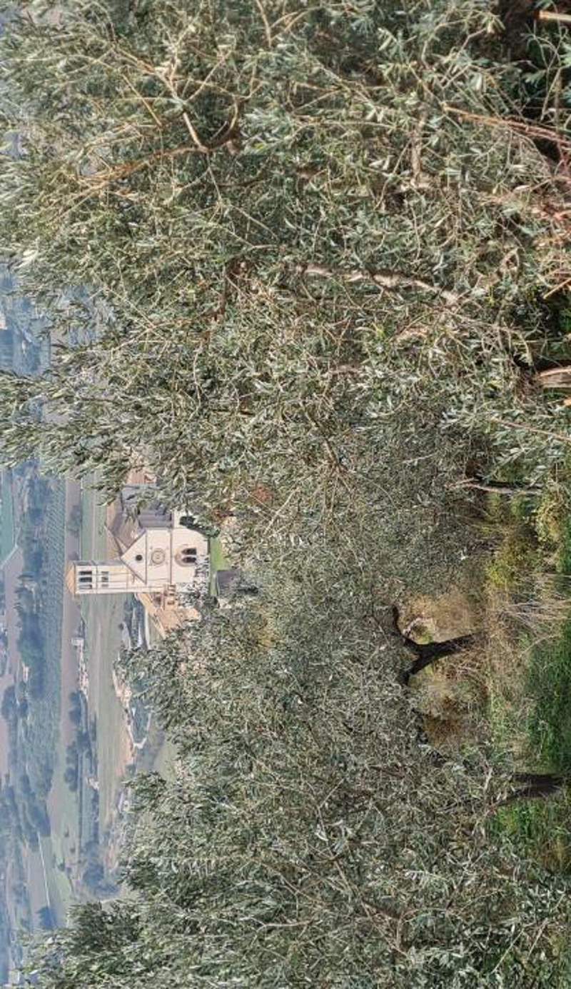 Residenze L'Uncinaia Holiday House