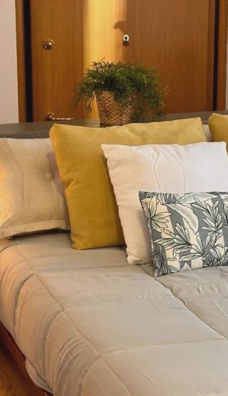 Full Color with Japanese Futon Bed and Terrace
