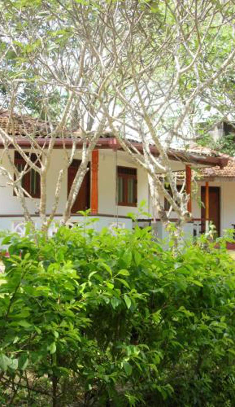 Calm Garden Cabanas