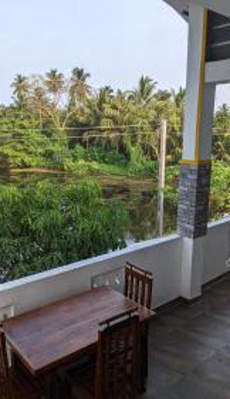 Lake view nest