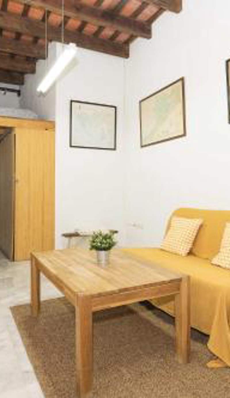 Loft Santiago