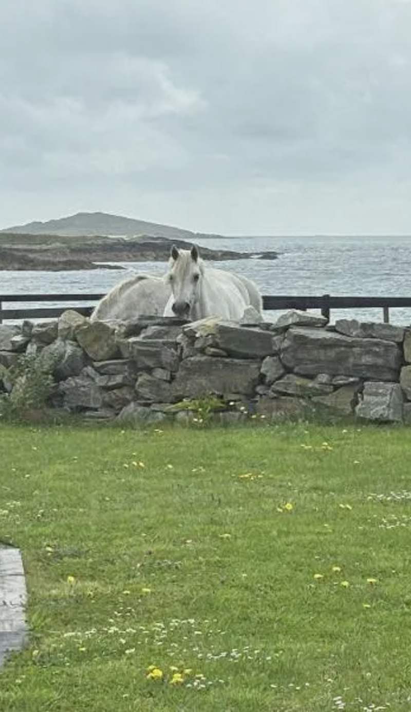 Apartment 471 - Clifden