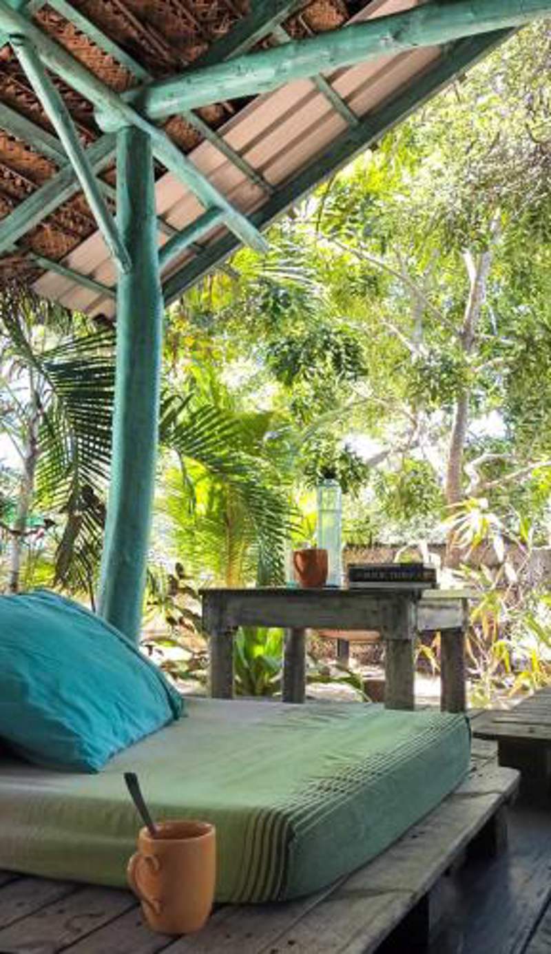 The Jungle House