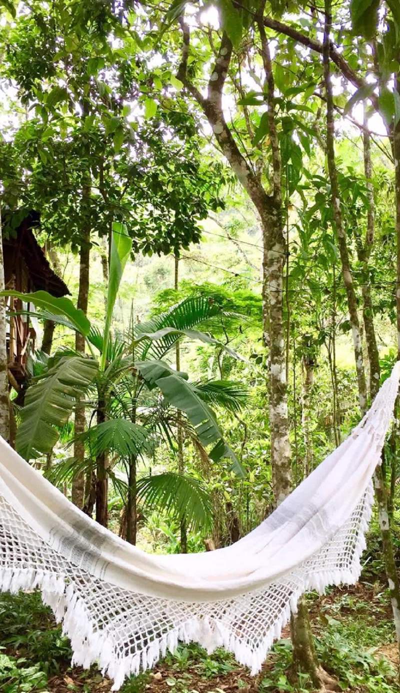 Sitio Simple Life