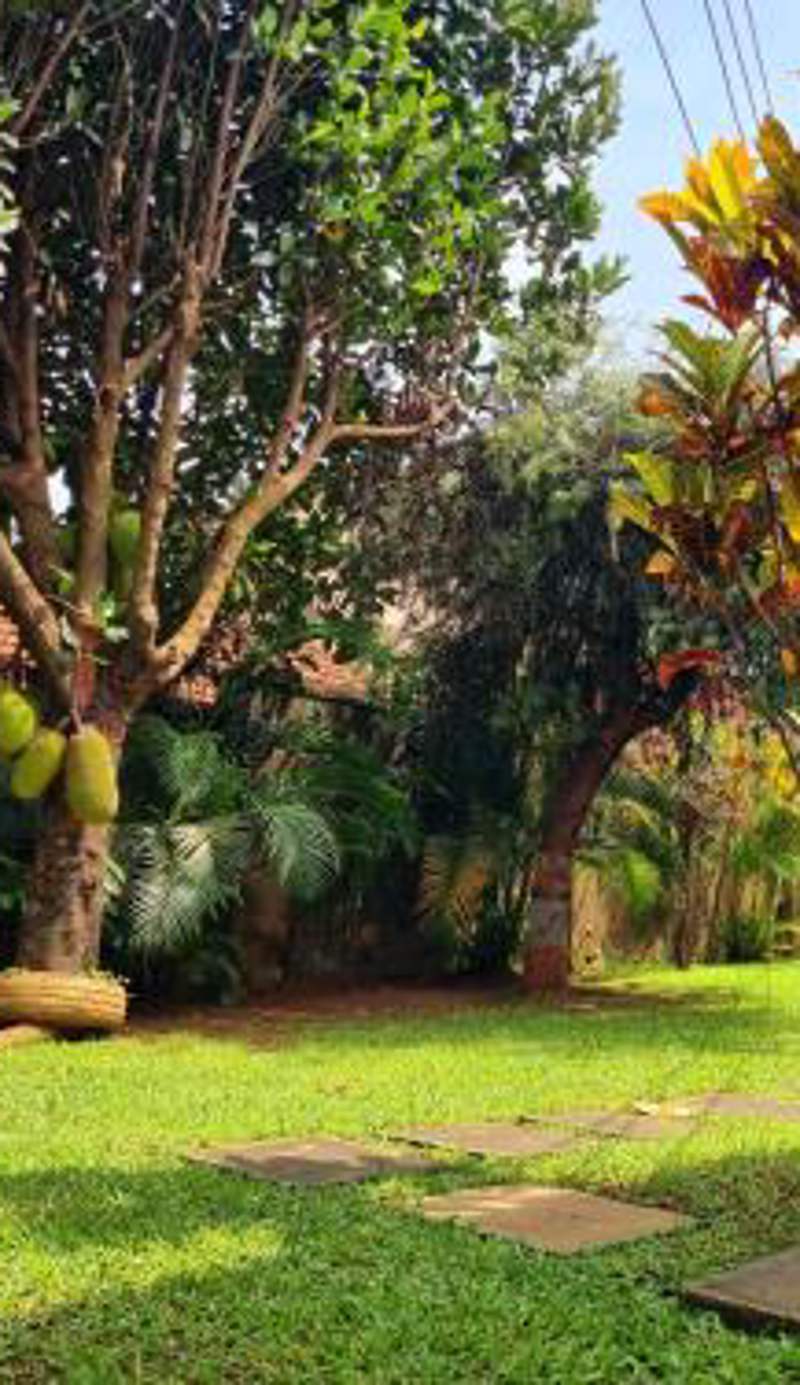 Tgs Homestay Nest