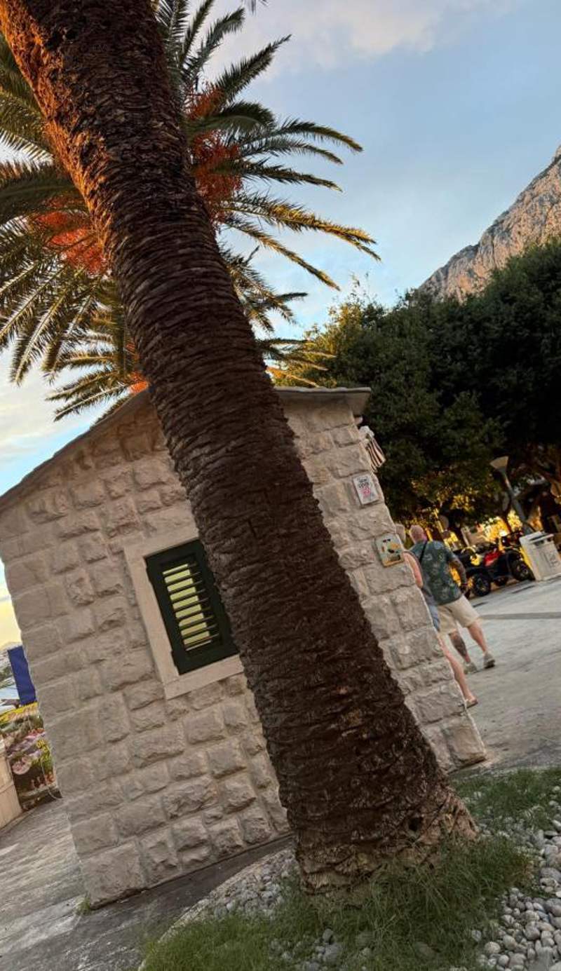 Hotel Vezia