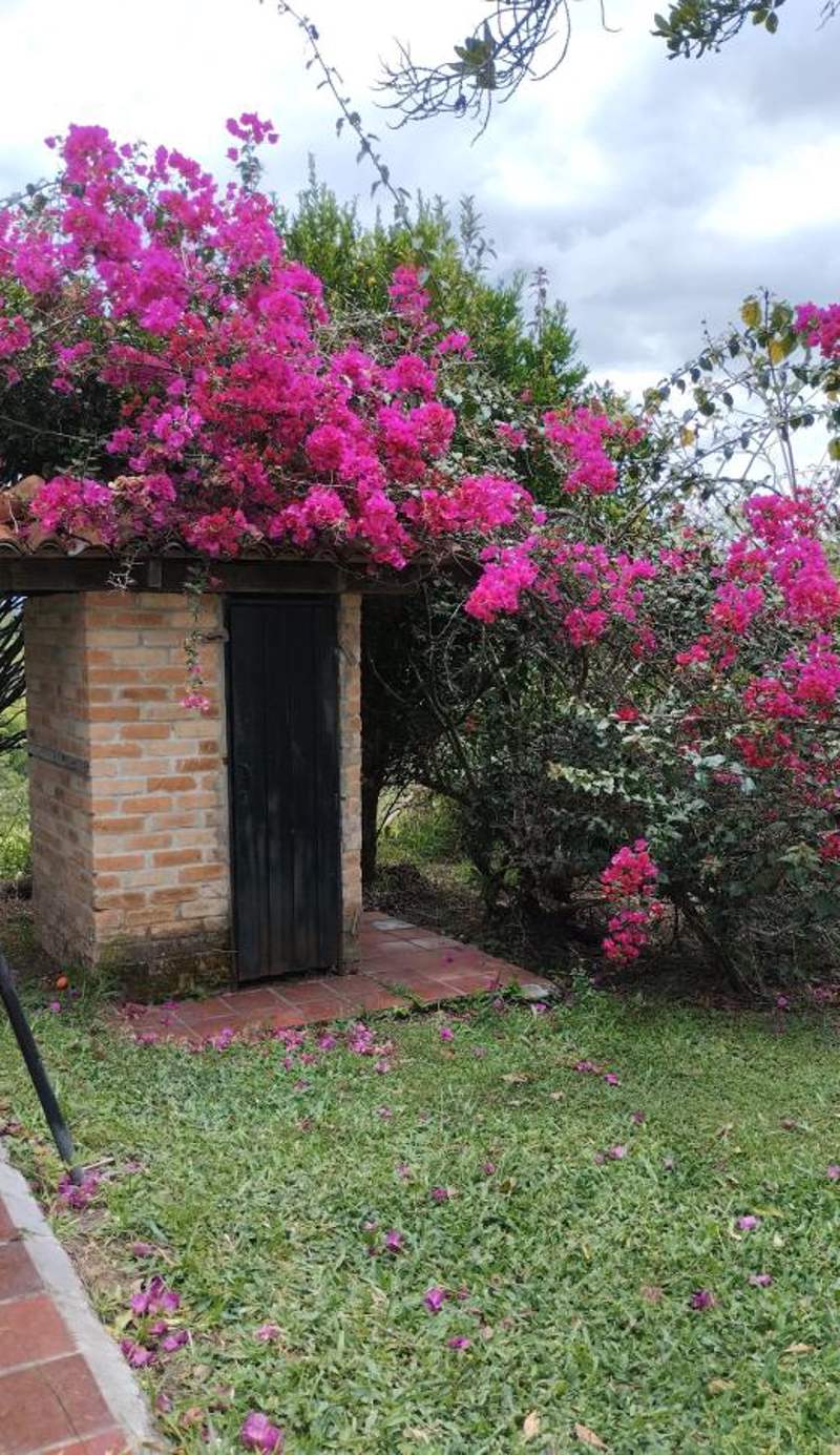 Campo y Descanso 15 min Ciudad
