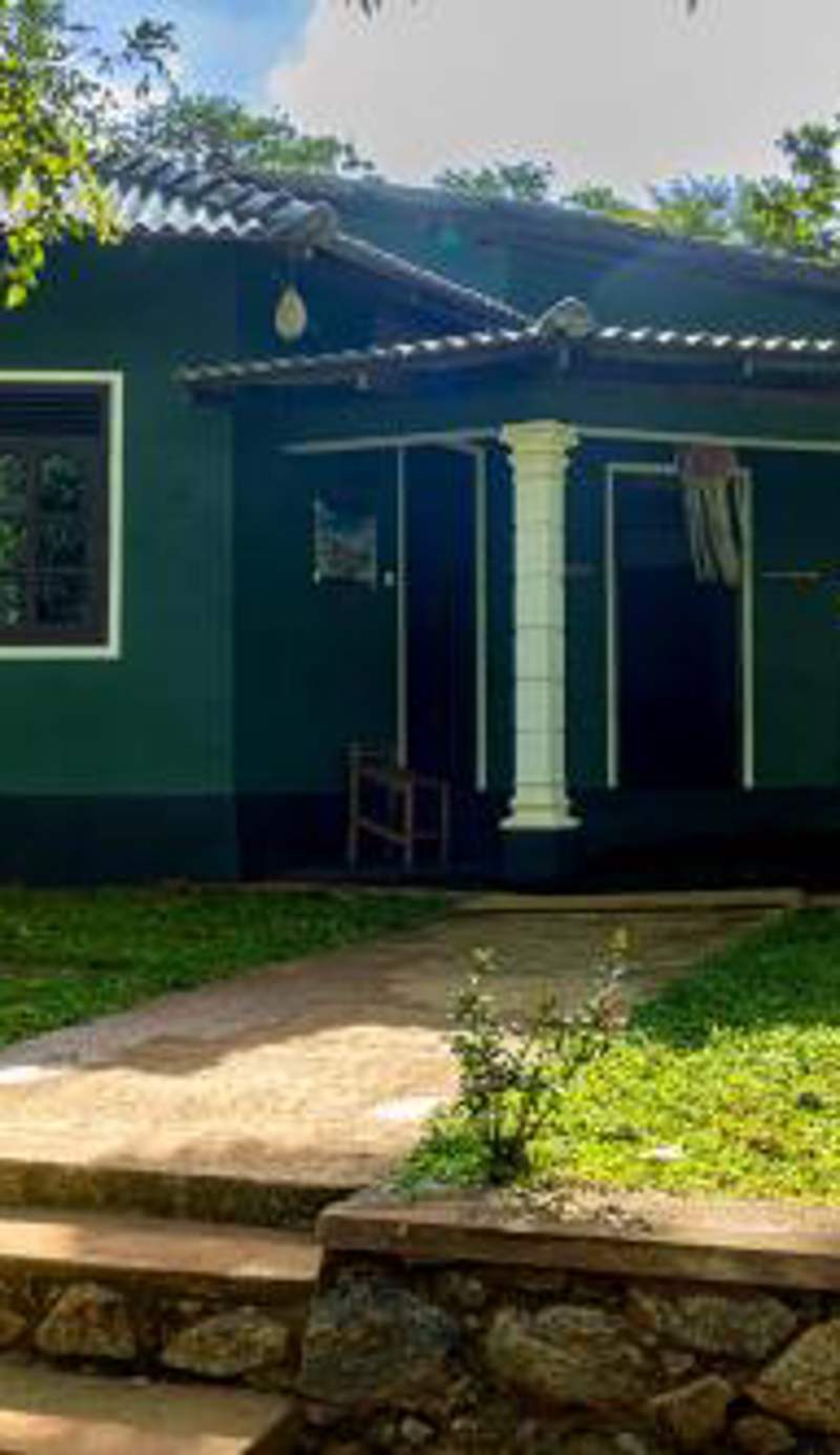 Sigiri Siesta Homestay