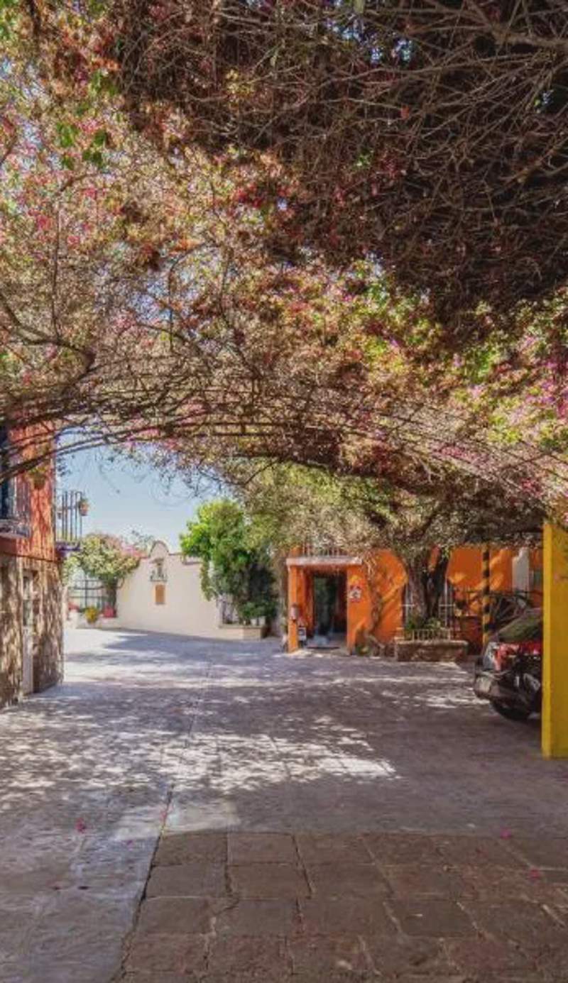 Hotel Posada Bugambilias