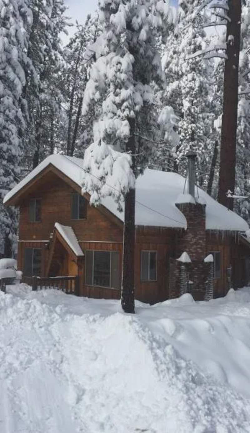 Paradise in cedar #2095