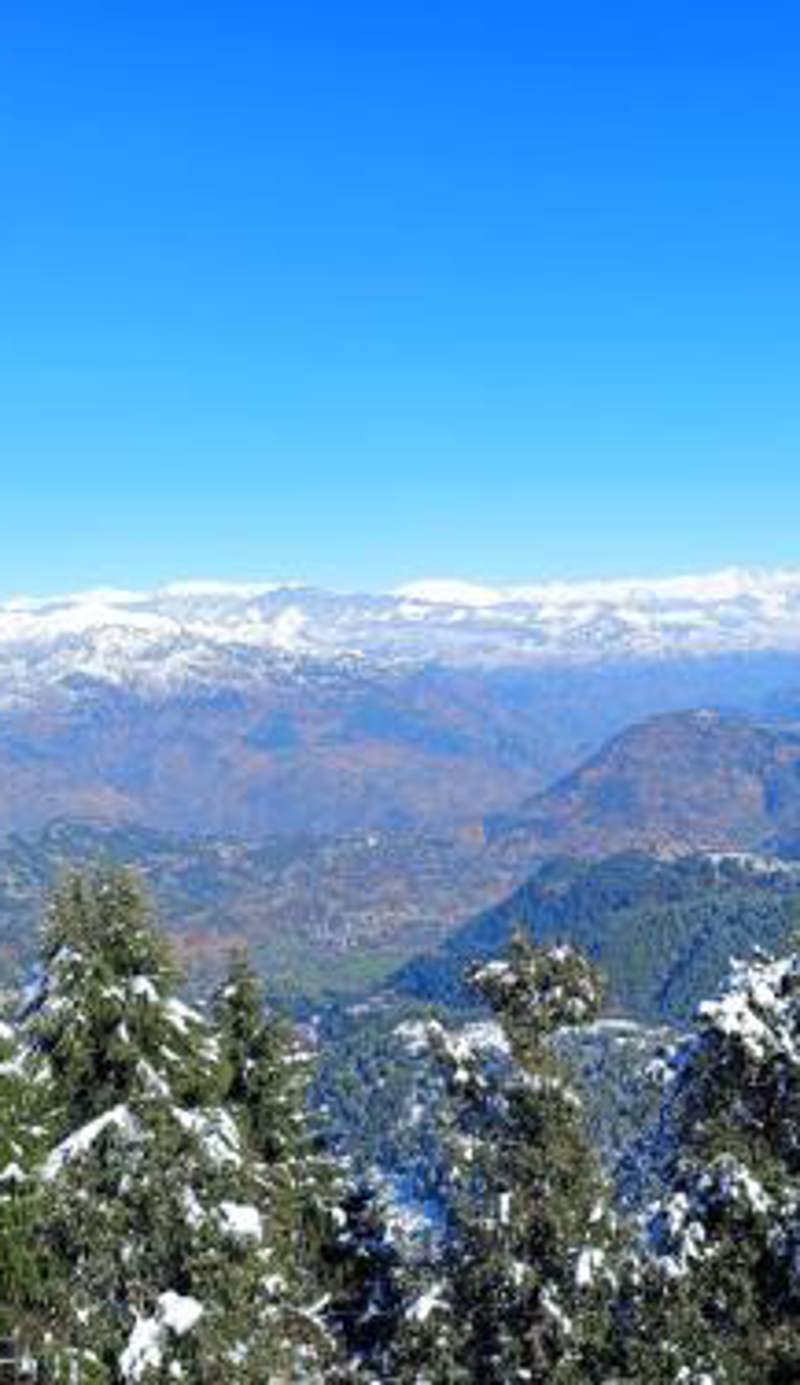 Surya Resort Dalhousie