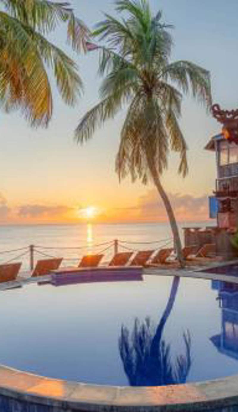 Paradise Palm Beach Bungalows and Dive Center