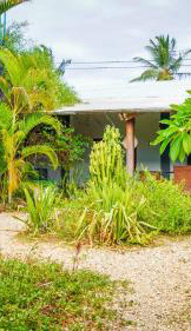 Nungwi House