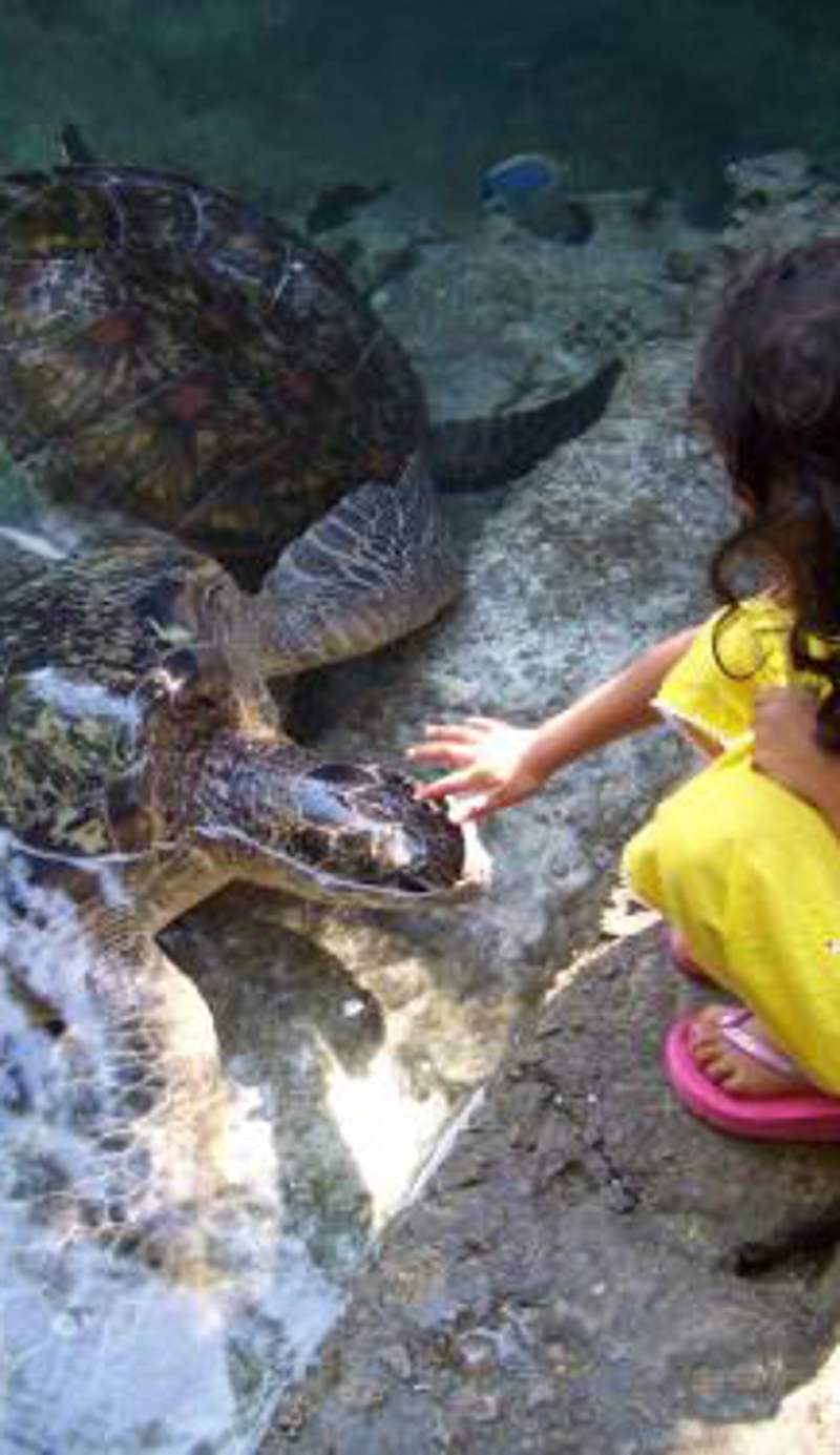 Baraka Aquarium Bungalows