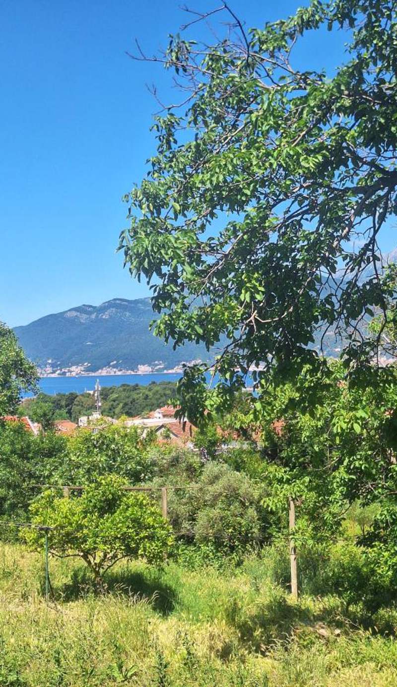 Apartman Nadja