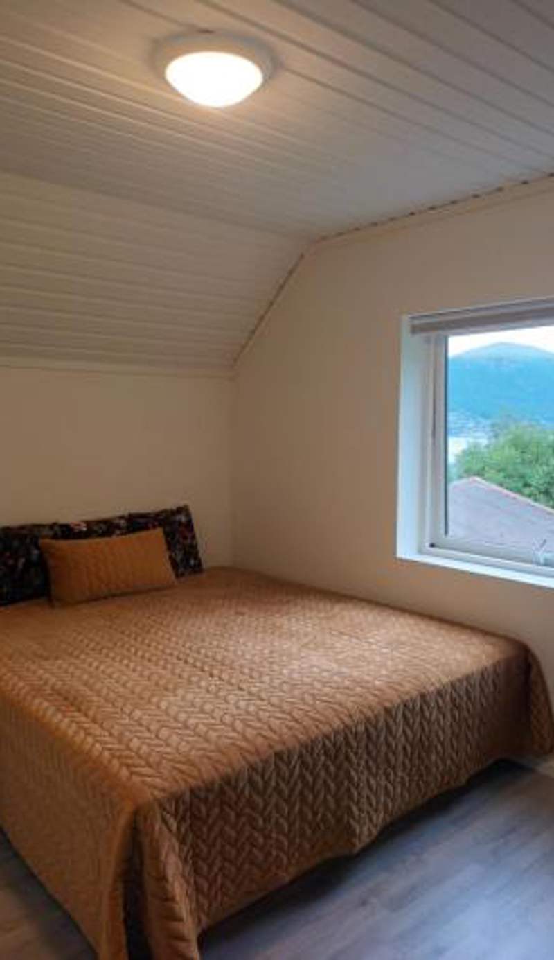 Olgas apartment