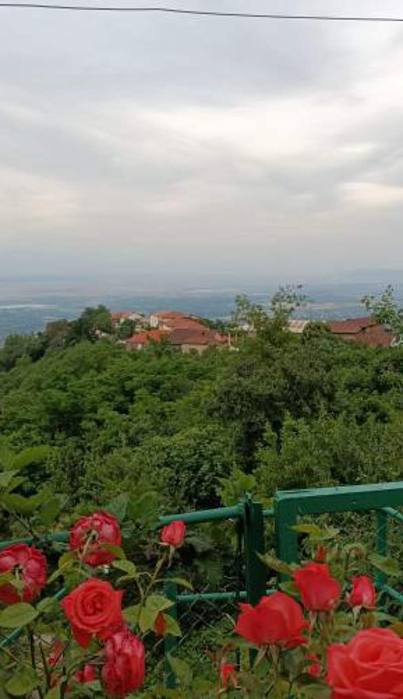 Guesthouse Kiko