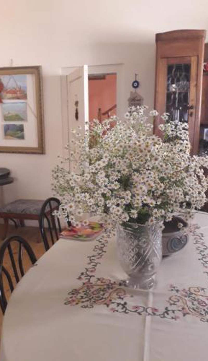 Nana's Guest House